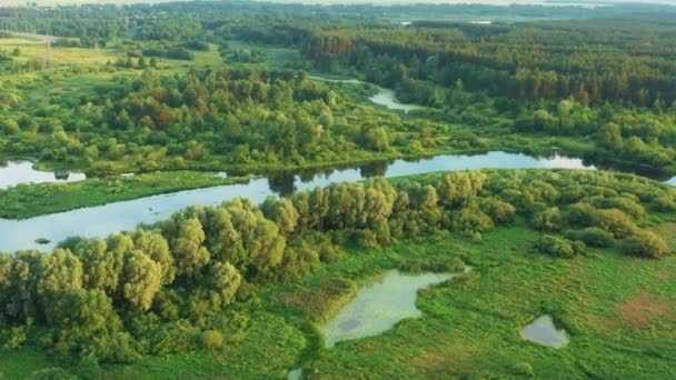 4K Aerial View Of Summer River Coasts Landscape. Top Pohled na krásnou evropskou přírodu z vysokého postoje. Drone Flight View. Pohled z ptačího oka. Zvýšený pohled na Green Forest Woods ve slunečný den — Stock video