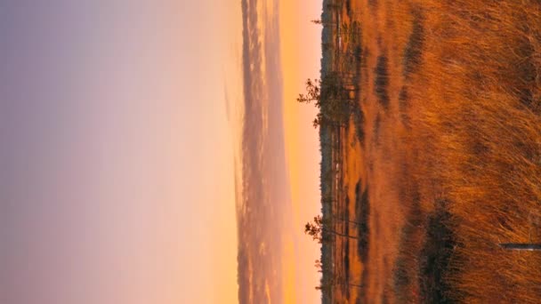 수직 4K 자연 경관. 2016 년 1 월 20 일에 확인 함 . Sunset Time Lapse Time-Lapse Wooden Hiking Trail Winding Through Marsh. 땅 위를 걷는 지각있는 보드 워크 — 비디오