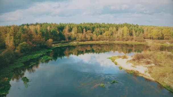 4K Sonbahar Nehri Kıyı Manzarası. Yüksek Tavır 'dan Güzel Avrupa Doğa Manzarası. İHA Uçuş Görünümü. Kuşların Gözü, Güneşli Sonbahar Günü 'nde Sarı Çayırlık Orman' ın Yüksek Görüş Alanı — Stok video