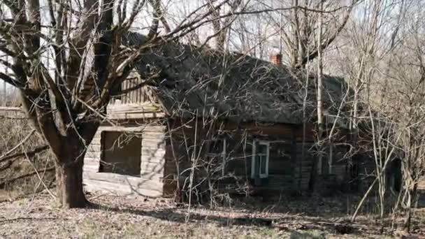 Belarus. Abandoned Houses In Chernobyl Resettlement Zone. Chornobyl Catastrophe Disasters. Dilapidated House In Belarusian Village. Whole Villages Must Be Disposed — Stock Video