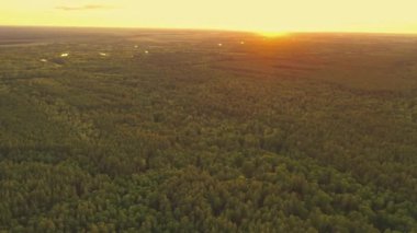 Güneşli bir akşamda, Yeşil Orman üzerindeki Günbatımı Gökyüzü Hava Manzarası. Üst Görünüm Yaz Gündoğumu