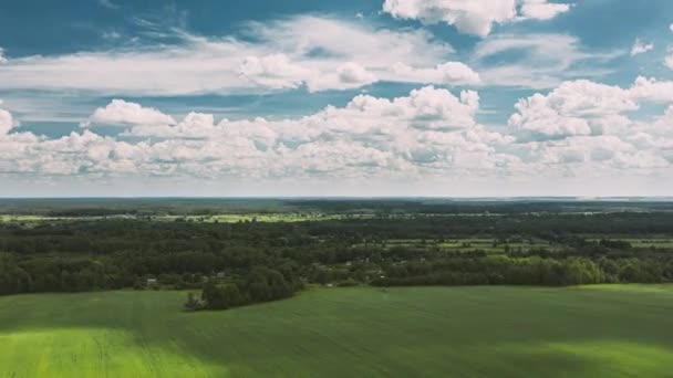 Himmel mit Wolken am Horizont über der ländlichen Landschaft, junges grünes Weizenfeld. Spring Agricultural Green Field. Zeitraffer, Zeitraffer, Zeitraffer. dronelapse, drone lapse, drone Hyper lapse 4K — Stockvideo