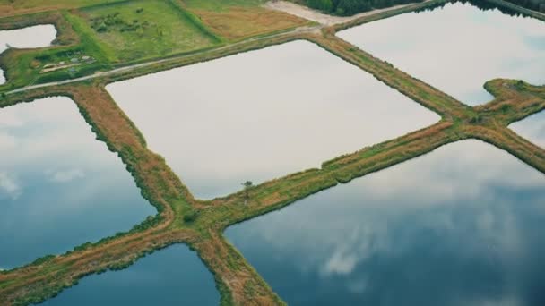 Aerial View visszatartó medencék, nedves tó, nedves fogvatartási medence vagy viharvízkezelő tó, egy mesterséges tó növényzettel körülvett terület, és magában foglalja az állandó medence víz a maga — Stock videók