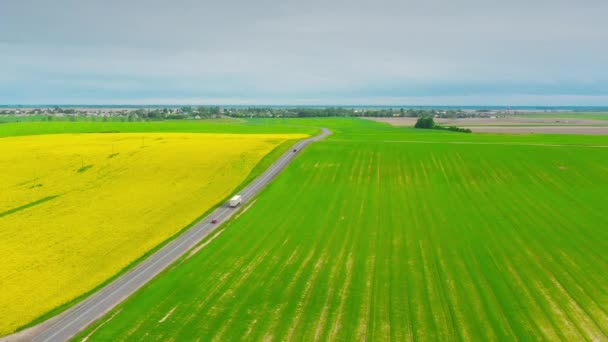 Letecký pohled na silnici přes pole a letní pšeničná pole krajiny. Pohled shora Pohled na tažnou jednotku tažného vozíku Prvotní tažná jednotka v pohybu na dálnici. Obchodní doprava, Trucking Industry — Stock video