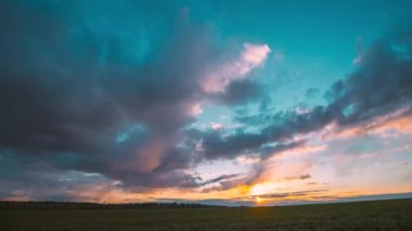 İlkbahar Bulutlu Hava Gününde Kırsal Bölge 'de Genç Yeşil Buğday Filizleri. Tarım Alanı. 4K zaman aşımı, zaman aşımı. Günbatımı Akşam Saati. Gün batımı videosu, ufuk gün batımı