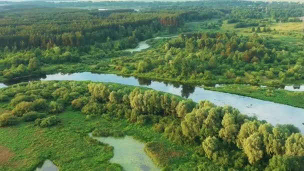 4K Luftaufnahme der sommerlichen Flussküsten Landschaft. Top-Ansicht der schönen europäischen Natur aus der Höhe. Drohnenflug-Ansicht. Vogelperspektive. Erhöhter Blick auf grüne Wälder an sonnigen Tagen — Stockvideo