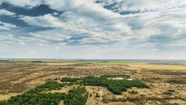 Fiatal Ültetett Erdő. Aerial View Of Forest Strips Tájkép az Európai Tavasz elején. Drónra néző. Madártávlat. Drón hiperhajtómű megszűnése. — Stock videók