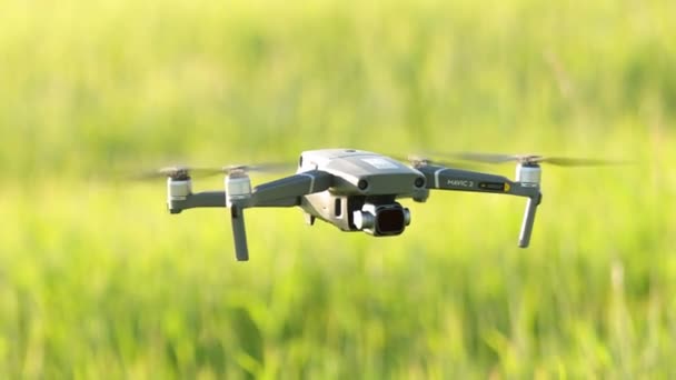 Gomel, Belarús - 8 de junio de 2021: Flying Electric DJI Mavic 2 Pro Drone por encima del campo de trigo de verano — Vídeo de stock