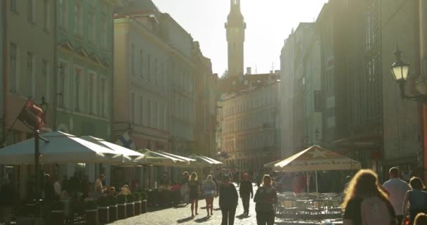 Tallin, Estonia - 1 lipca 2019: Ludzie spacerujący ulicą Viru Słoneczny letni wieczór. Słynna stara ulica do ratusza — Wideo stockowe