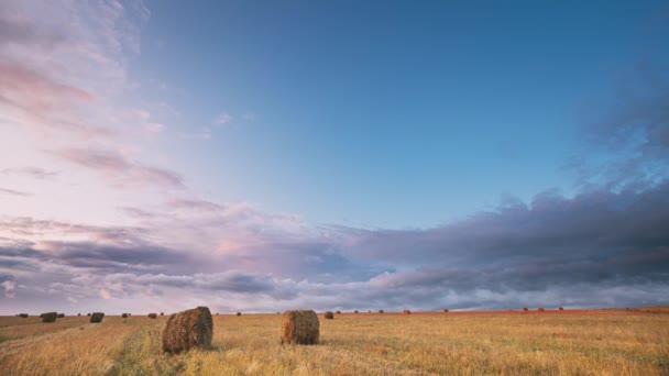 Dramatyczne niebo przed deszczem z chmurami deszczowymi na horyzoncie nad łąką wiejskiego krajobrazu z belami siana po żniwach podczas wieczornego zachodu słońca. Koncepcja prognoz pogody i rolnictwa — Wideo stockowe