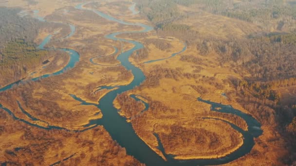 Vue Aérienne Des Bois Forestiers Et Du Paysage De La Rivière Partiellement Froid En Fin De Jour Ensoleillé D'autunn. Vue Du Haut De La Belle Nature Européenne De Haute Attitude En Saison D'automne. Vue sur drone. Oiseaux Vue Oeil — Video