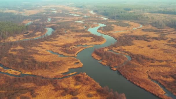 Luchtfoto van bos en gedeeltelijk bevroren rivierlandschap in zonnige Late Autunn Day. Top uitzicht op de prachtige Europese natuur vanuit een hoge houding in het najaar. Kijk naar Drone View. Birds Eye View — Stockvideo