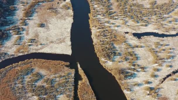 Widok z lotu ptaka Las i częściowo zamrożony krajobraz rzeki w słoneczny późny dzień Autunn. Top View Of Beautiful European Nature Od wysokiego nastawienia w późnej jesieni lub wczesnej porze zimowej. Widok drona. Ptak — Wideo stockowe