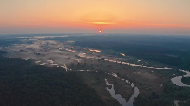 Sorprendente alba sul paesaggio nebbioso. Vista panoramica del cielo di mattina appannato con il sole nascente sopra la foresta nebbiosa e il fiume. Natura di inizio estate. — Video Stock