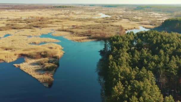 Aerial kilátás erdő erdők és részben fagyott folyó táj Sunny késő őszi napon. Top Kilátás a gyönyörű európai természet a magas attitűd őszi szezonban. Drónra néző. Madártávlat — Stock videók