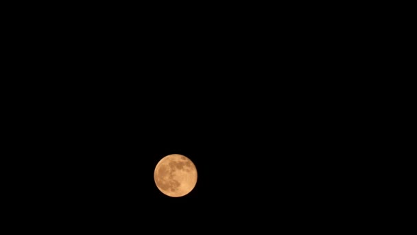 月球满月上升4K的时差时差. — 图库视频影像