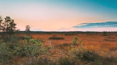 Miory Bölgesi, Vitebsk Bölgesi, Belarus. Yelnya Bataklığı. Upland ve çeşitli gölleri olan geçici bataklıklar. Yelnya Doğa Koruma Alanı. Ünlü Doğal Kent Simgesi. Günbatımı Hızlandırılmış Zaman Hızı 4K.