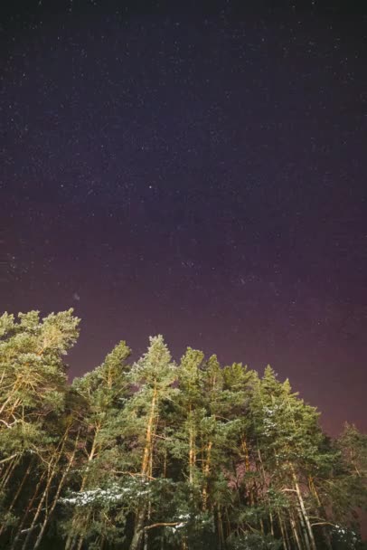 4K Нічне зоряне небо з яскравими зірками. Яскравий відблиск небесних зірок над зимовими сосновими лісами. Копіювальний простір. Природній нічний час Лапс часу. Вертикальний постріл. — стокове відео