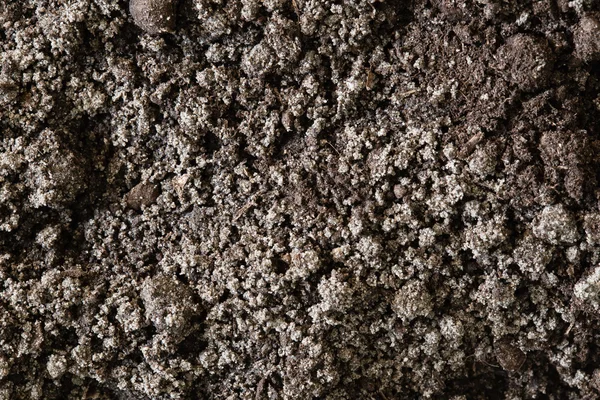 Soil dirt background texture