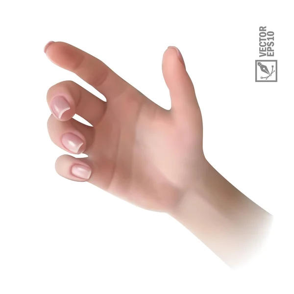 3d realistic vector hand holding something for advertising Vector Graphics