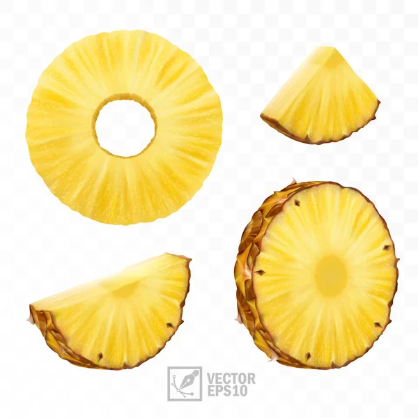 3D realistisk isolerad vektor ananas set, ananas cirkel runda bitar och ananas skivor och en halv — Stock vektor