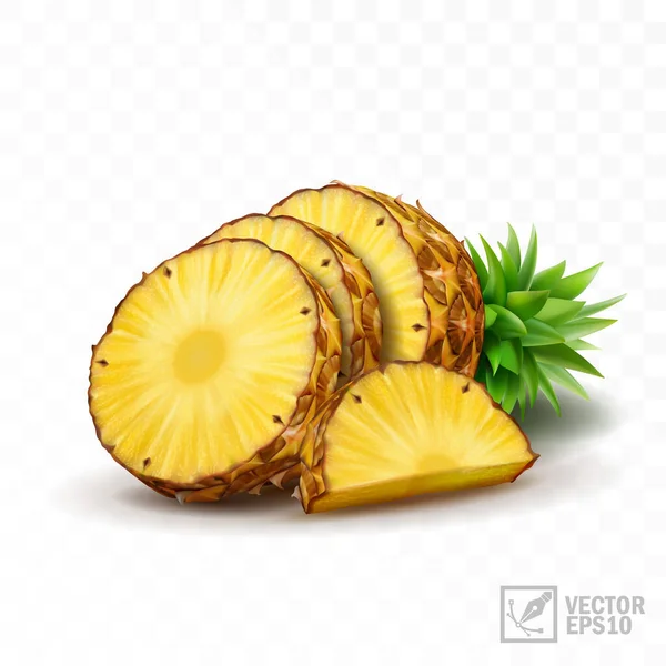 3D realistisches Vektor-Ananas-Set, halbe Ananas mit Blättern, Scheiben und einer Hälfte — Stockvektor