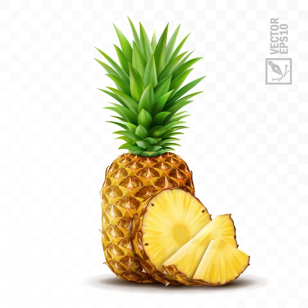 3d realistische geïsoleerde vector ananas set, hele ananas met bladeren, ananas plakjes en stukjes — Stockvector