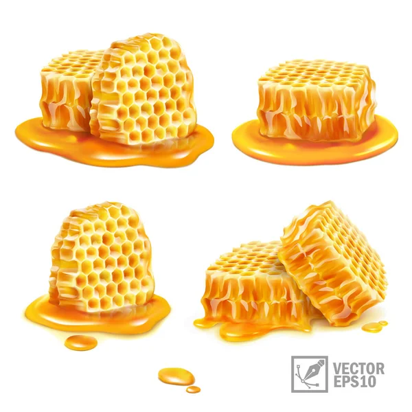Ensemble de vecteurs isolés réalistes 3d avec miel, morceaux de nid d'abeille en différentes versions Graphismes Vectoriels