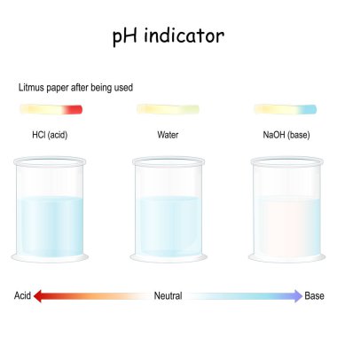 Litmus kağıdı asitte, bazda ve tatlı suda kullanıldıktan sonra. Ph göstergesi. Sıvılarla dolu laboratuvar camları..