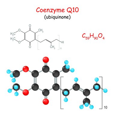 Coenzyme Q10. Chemical structural formula and model of  molecule of ubiquinone. Vector Illustration clipart