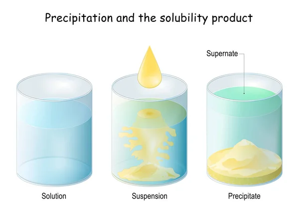 Precipitación Química Producto Solubilidad Proceso Conversión Una Sustancia Química Sólido — Archivo Imágenes Vectoriales