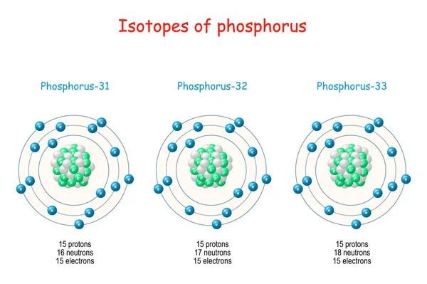 Isótopos Fósforo Estructura Atome Esquema Etiquetado Con Partículas Protones Neutrones — Archivo Imágenes Vectoriales