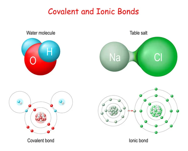 イオン対共有結合 イオン結合では電子が寄付される 共有結合では 電子は共有される Nacl を有するイオン結合を有する化合物及び水分子との共有結合の例 H2O — ストックベクタ