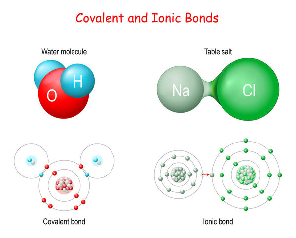 Ионический против Ковалентных облигаций. В ионной связи электрон донорится. В ковалентной связи электрон делится. Примеры соединений с ионными связями со столовой солью (NaCl) и ковалентными связями с молекулой воды (H2O)).