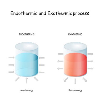 Endothermic reaction (absorbs thermal energy) and exothermic process (releases energy). thermodynamics. Chemical or a physical process. Vector illustration clipart