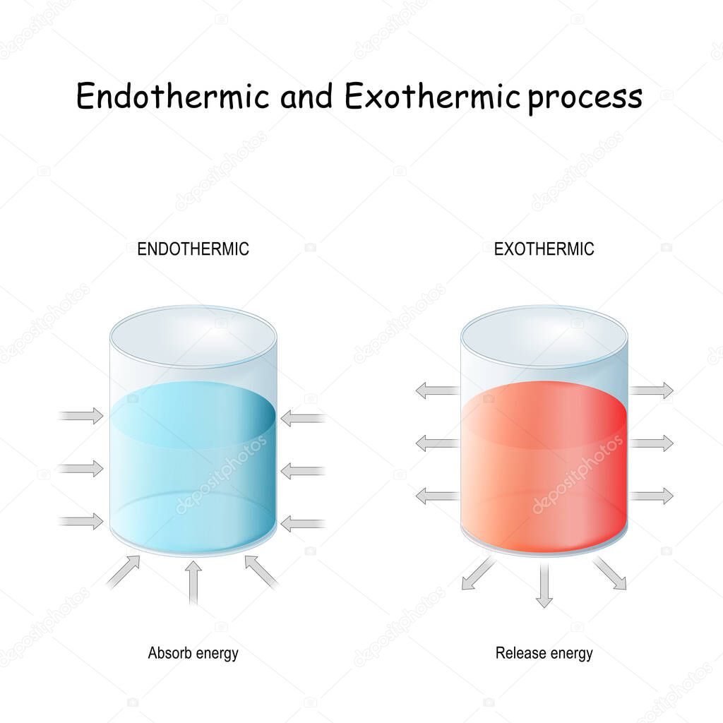 Endothermic reaction (absorbs thermal energy) and exothermic process (releases energy). thermodynamics. Chemical or a physical process. Vector illustration