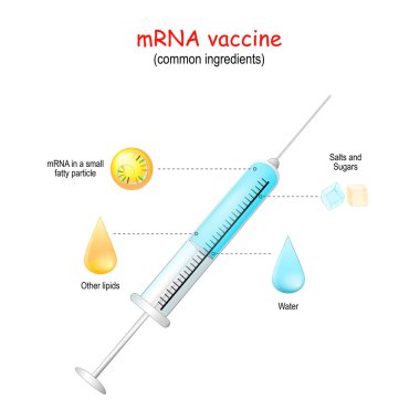 MRNA aşısı. Bir mRNA aşısı ne içerir? Vektör çizimi. COVID-19 aşı malzemelerini içeren şırınga yakın çekim