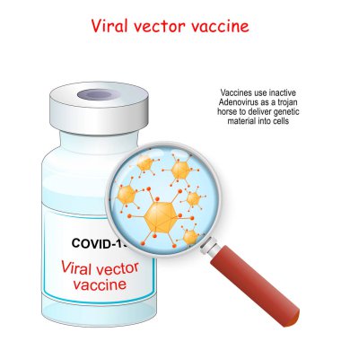 Covid-19 koronavirüs. Viral vektör aşısı. Aşı şişesi ve büyüteç. Genetik materyali hücrelere iletmek için kullanılan Adenovirüslerin büyütülmesi.