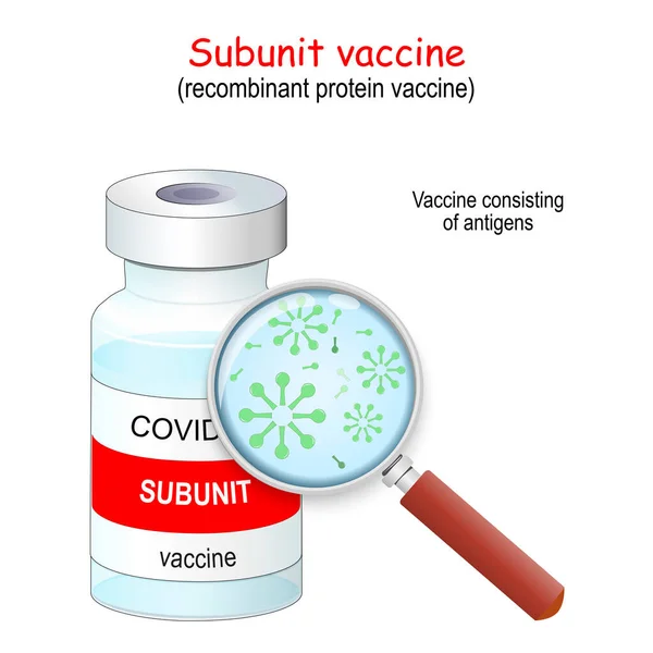 Covid Coronavirus Vacunas Recombinantes Proteínas Vacuna Subunit Que Consiste Antígenos — Vector de stock