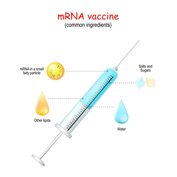 Mrns Vakcina Mit Tartalmaz Mrns Vakcina Vektor Illusztráció Közelkép Fecskendőről — Stock Vector