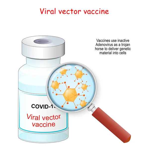 Covid Coronavirus Viralt Vektorvaccin Injektionsflaska Med Vaccin Och Förstoringsglas Med — Stock vektor