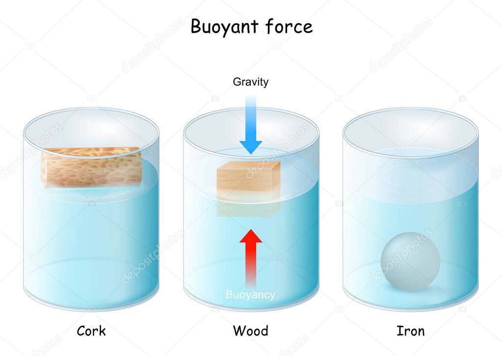 Buoyant force. Archimedes' principle