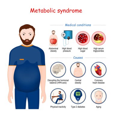 Metabolic syndrome. Causes and Medical conditions infographic. Human's metabolism.  Man with Abdominal obesity. Vector illustration clipart