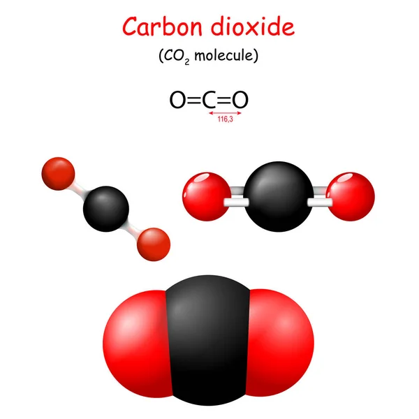 Dióxido Carbono Fórmula Química Estructural Del Co2 Modelo Molécula Química — Archivo Imágenes Vectoriales