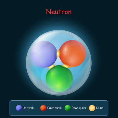 Neutron structure. Up quark, Gluon and Down quark. Subatomic particle, with neutral charge, constitute the nuclei of atoms. Realistic Quarks and gluons into the neutron on dark background. vector illustration clipart