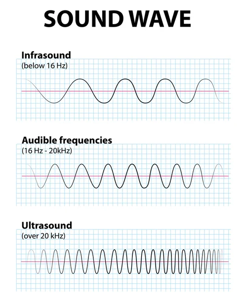 Sound wave — Stock Vector