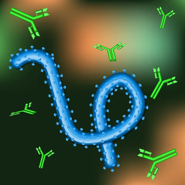 Virus ebola dan antibodi pada latar belakang warna - Stok Vektor