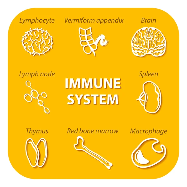 Definir ícones com sombra. Sistema imunitário humano — Vetor de Stock