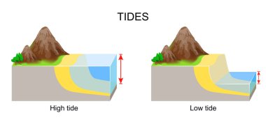 Sular yükseldi ve sular çekildi. Vektör illüstrasyonu
