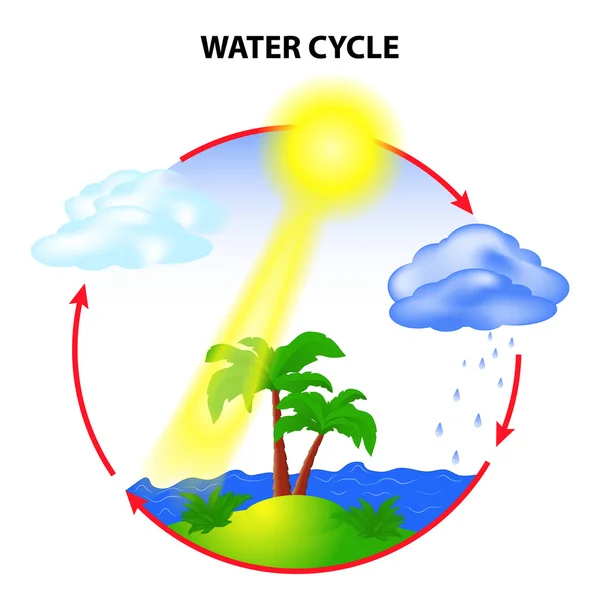 Ciclo dell'acqua — Vettoriale Stock